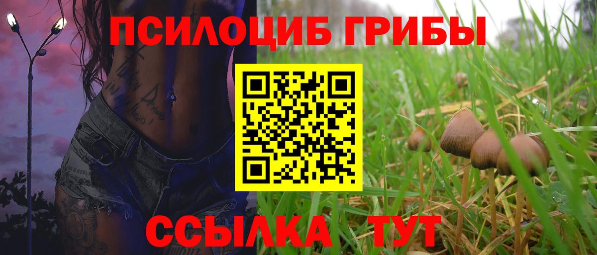 Псилоцибиновые грибы GOLDEN TEACHER  Вход с VPN  Заринск  Псилоцибиновые грибы мухоморы 